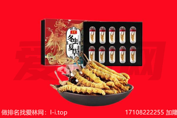 贵阳回收虫草.jpg